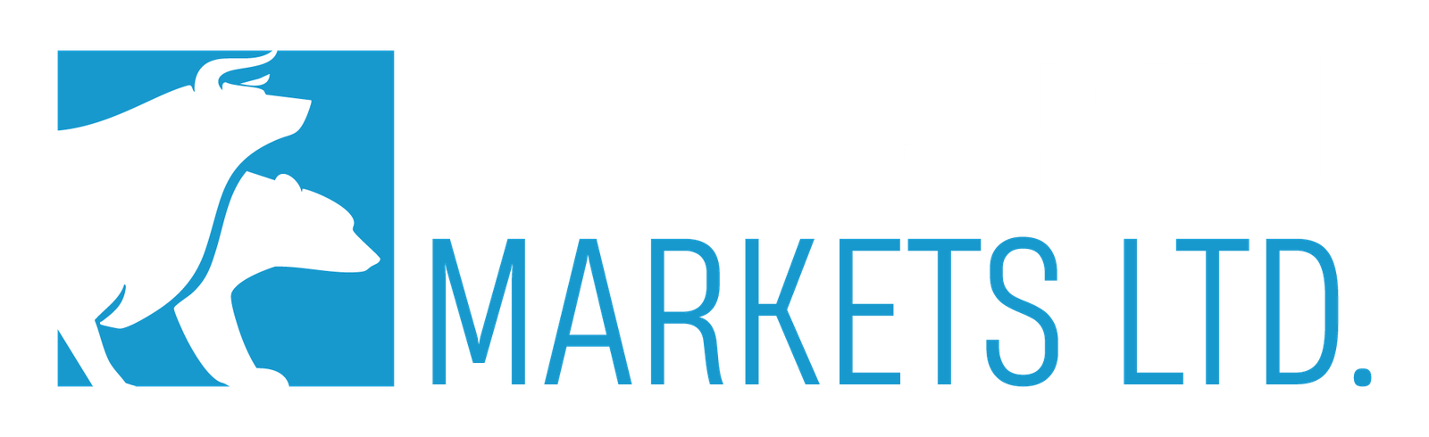 ANAX Capital Markets